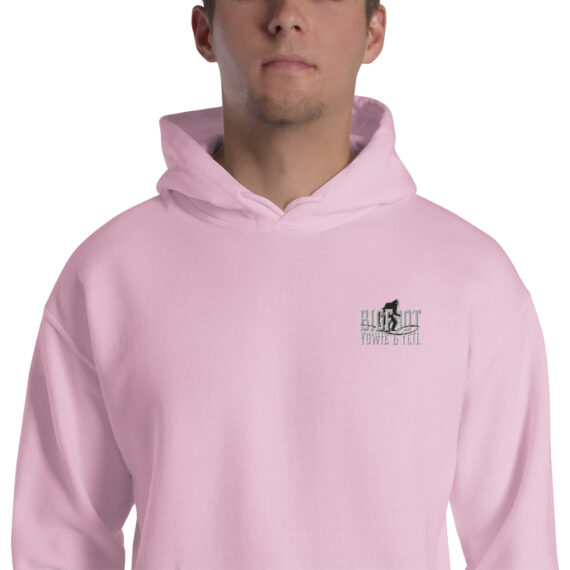 unisex-heavy-blend-hoodie-light-pink-zoomed-in-617b95239b6be.jpg