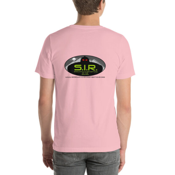 unisex-staple-t-shirt-pink-back-61785e634042a.jpg
