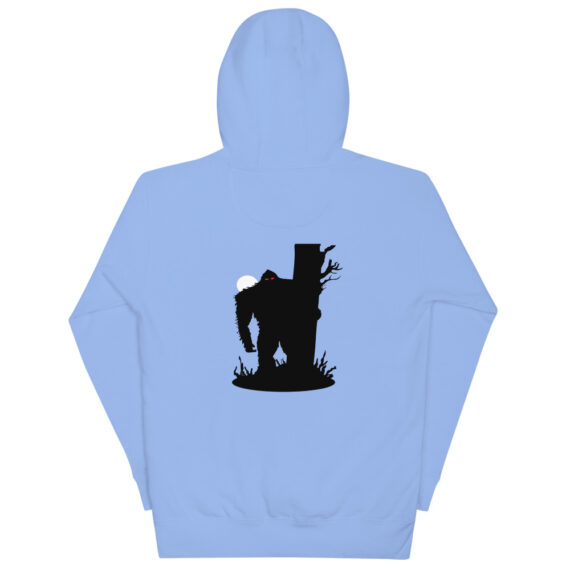 unisex-premium-hoodie-carolina-blue-back-622b01930a51d.jpg